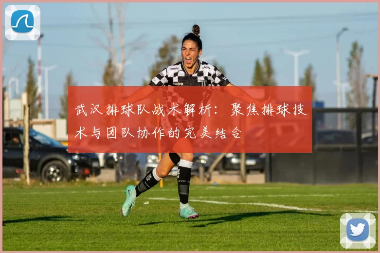 武汉排球队战术解析：聚焦排球技术与团队协作的完美结合