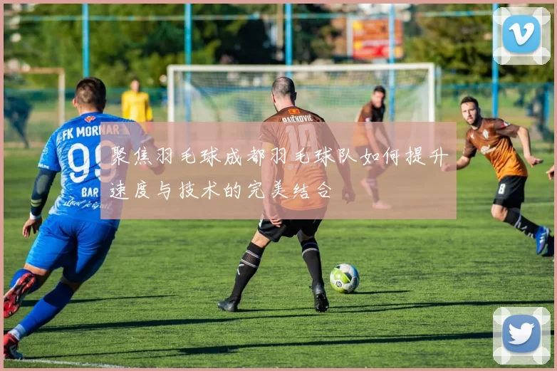 聚焦羽毛球成都羽毛球队如何提升速度与技术的完美结合