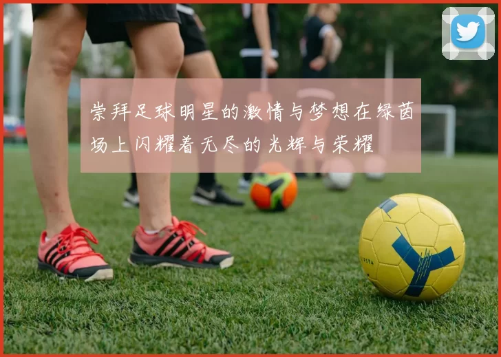 崇拜足球明星的激情与梦想在绿茵场上闪耀着无尽的光辉与荣耀