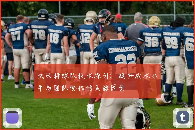 武汉排球队技术探讨：提升战术水平与团队协作的关键因素