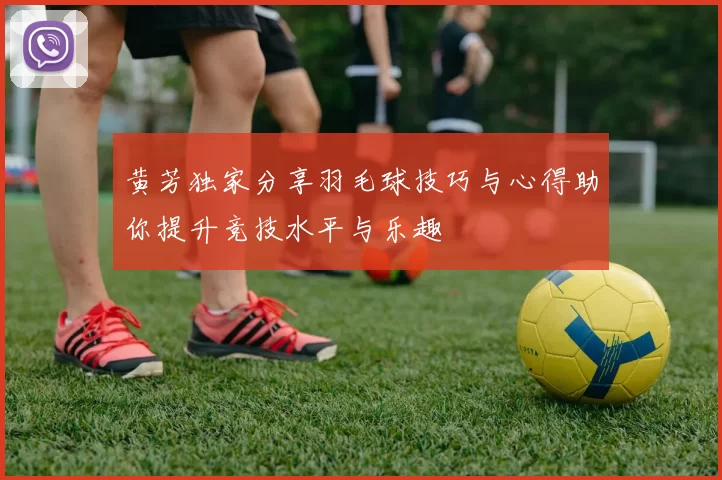 黄芳独家分享羽毛球技巧与心得助你提升竞技水平与乐趣