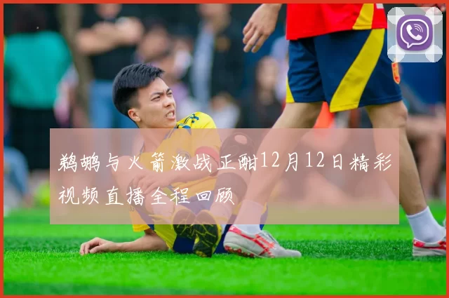 鹈鹕与火箭激战正酣12月12日精彩视频直播全程回顾