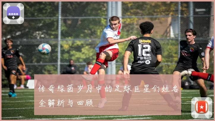 传奇绿茵岁月中的足球巨星们姓名全解析与回顾