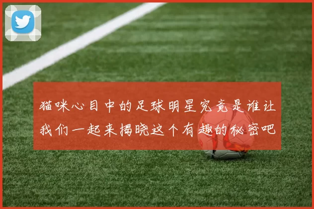 猫咪心目中的足球明星究竟是谁让我们一起来揭晓这个有趣的秘密吧