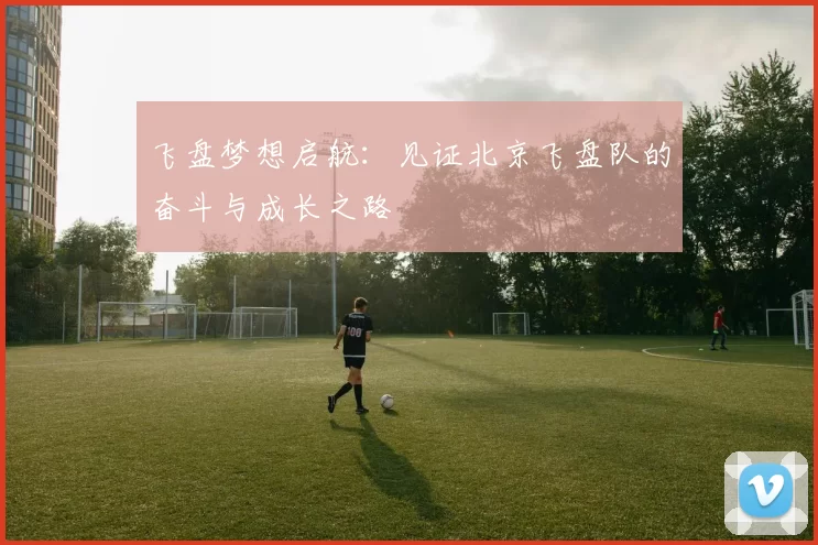 飞盘梦想启航：见证北京飞盘队的奋斗与成长之路