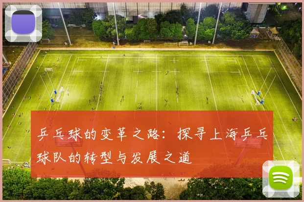 乒乓球的变革之路：探寻上海乒乓球队的转型与发展之道